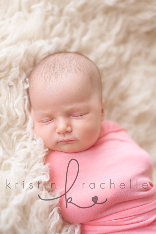 studio newborn photographer