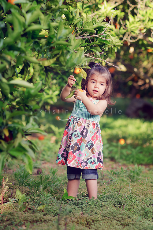 orchard photographer