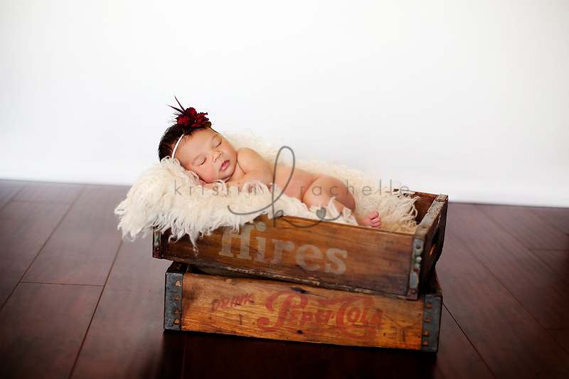 contemporary newborn photographer